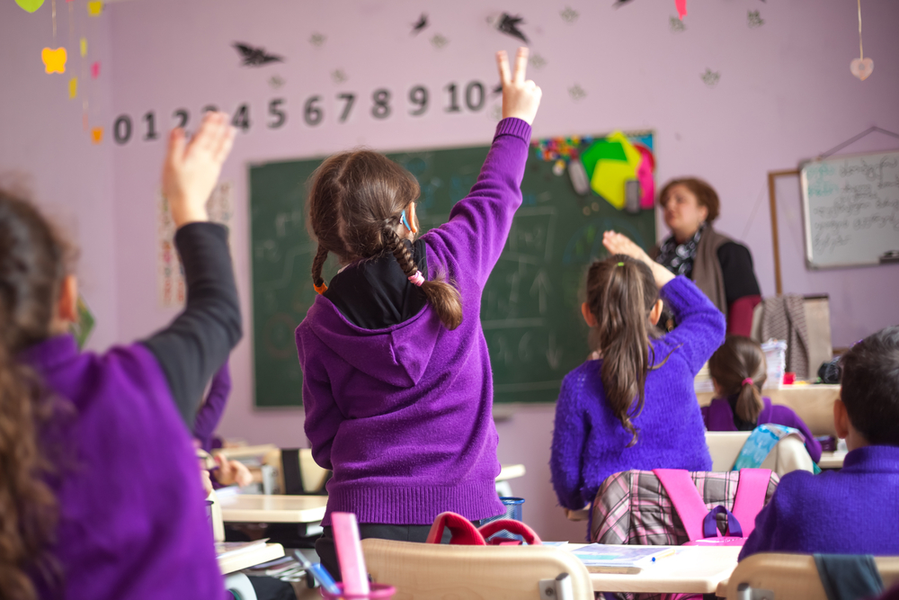 "Mas concluímos que todas as mudanças operadas não passavam de panaceias, ingênuas tentativas de mitigar a naturalização do insucesso operada pela velha escola. Apercebemo-nos de que o escolanovismo continuava a não garantir a todos o direito à educação", diz José Pacheco