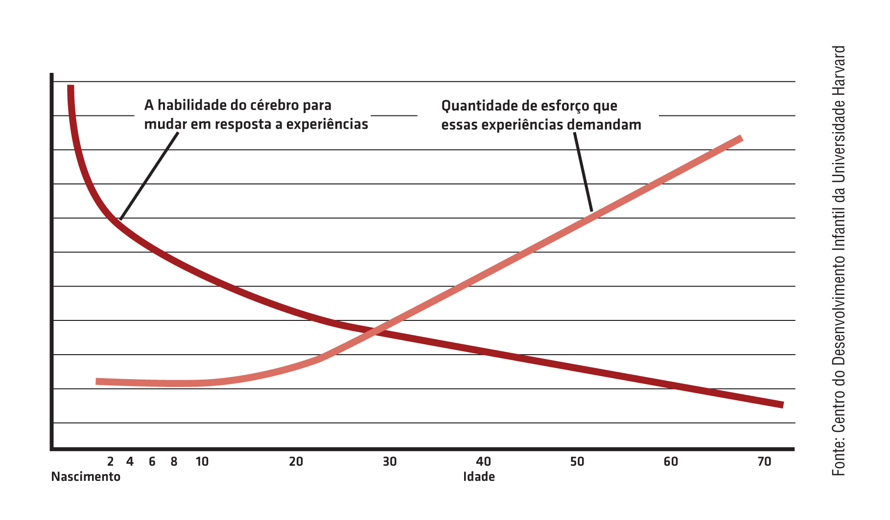 cérebro na infância