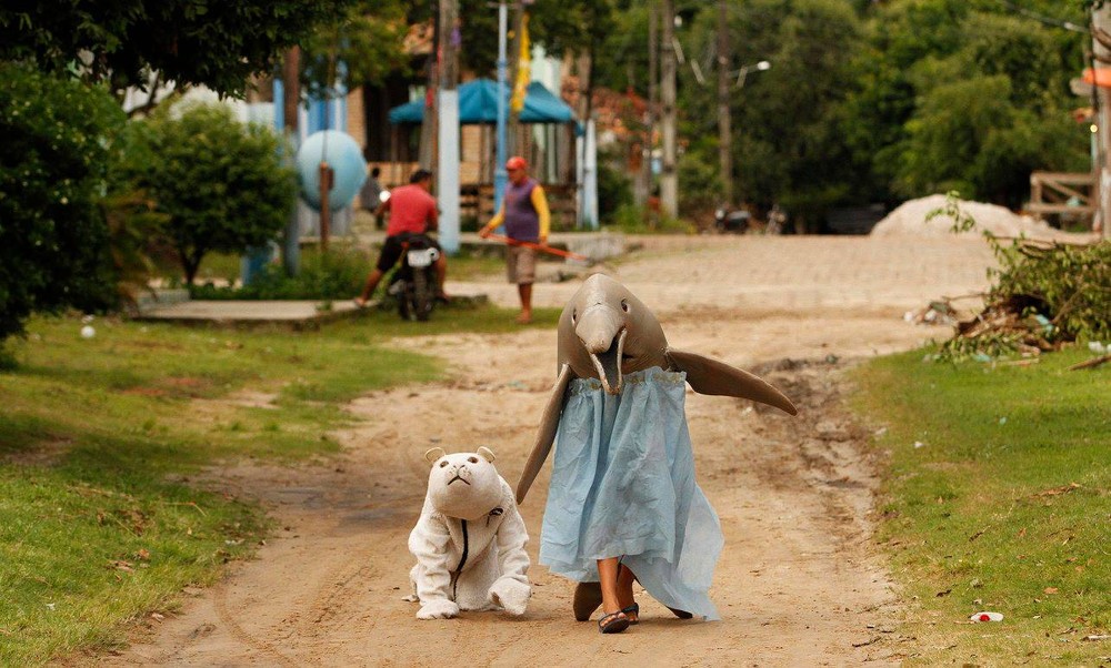 Carnaval amazônico animais