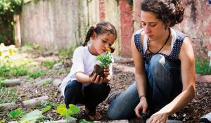 Escolas e projetos buscam trabalhar a educação socioambiental de forma holística