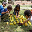 Escolas sustentáveis_destaque